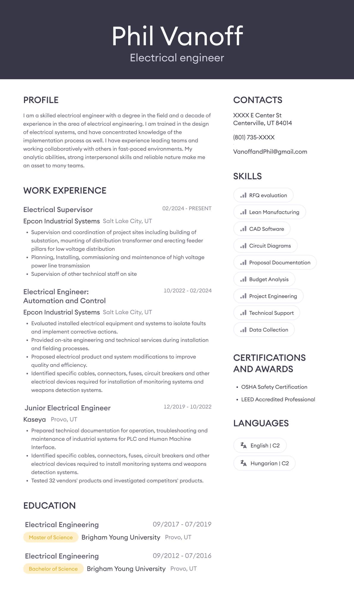 Resume example